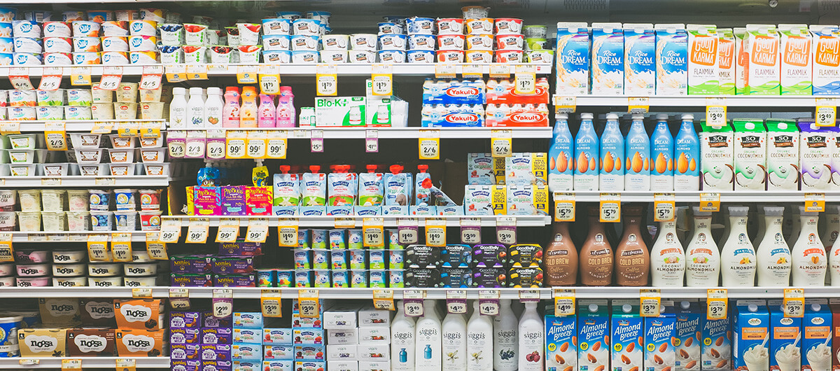 The Future of Solving Food Insecurity - Dame Magazine