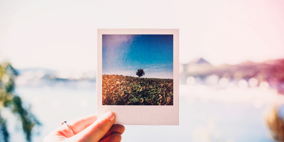 7 Expert Rules To Abide By With Your Google Shopping Images