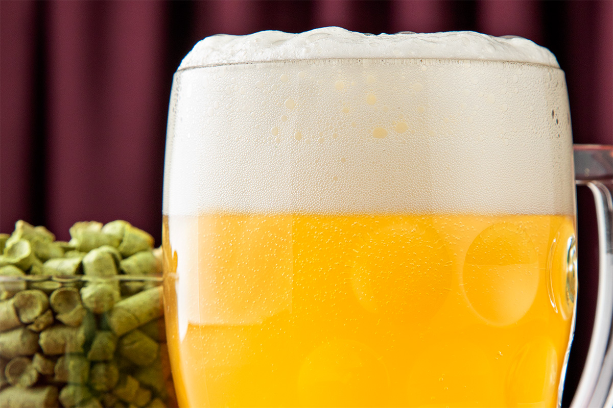 Foam Loves Hops (Except When It Doesn’t) | Brewing Industry Guide