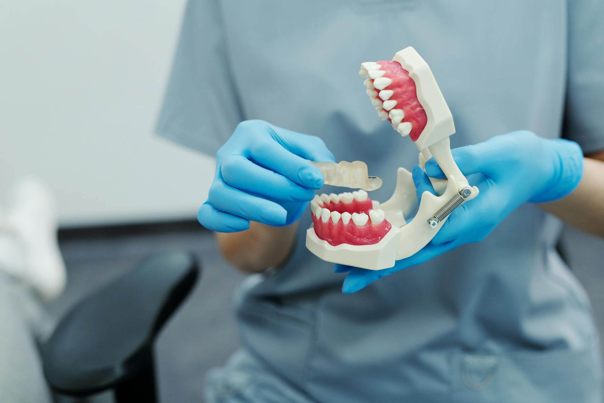 Orthodontist SEO - DDSRank