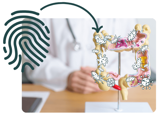 Diet vs. Disease Premium Program