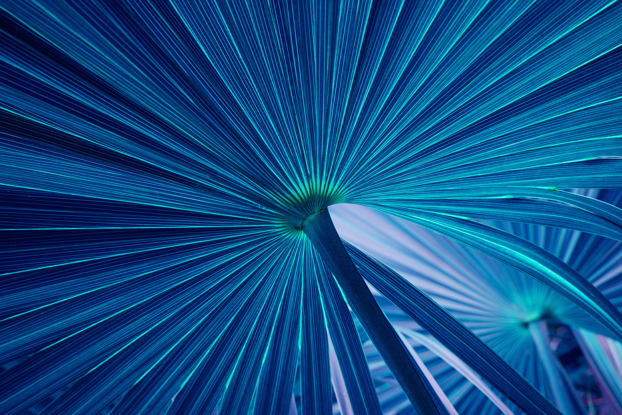2024 Annual Report - Digital Science