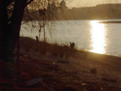 Donnerwetter.de, Bonn, cover