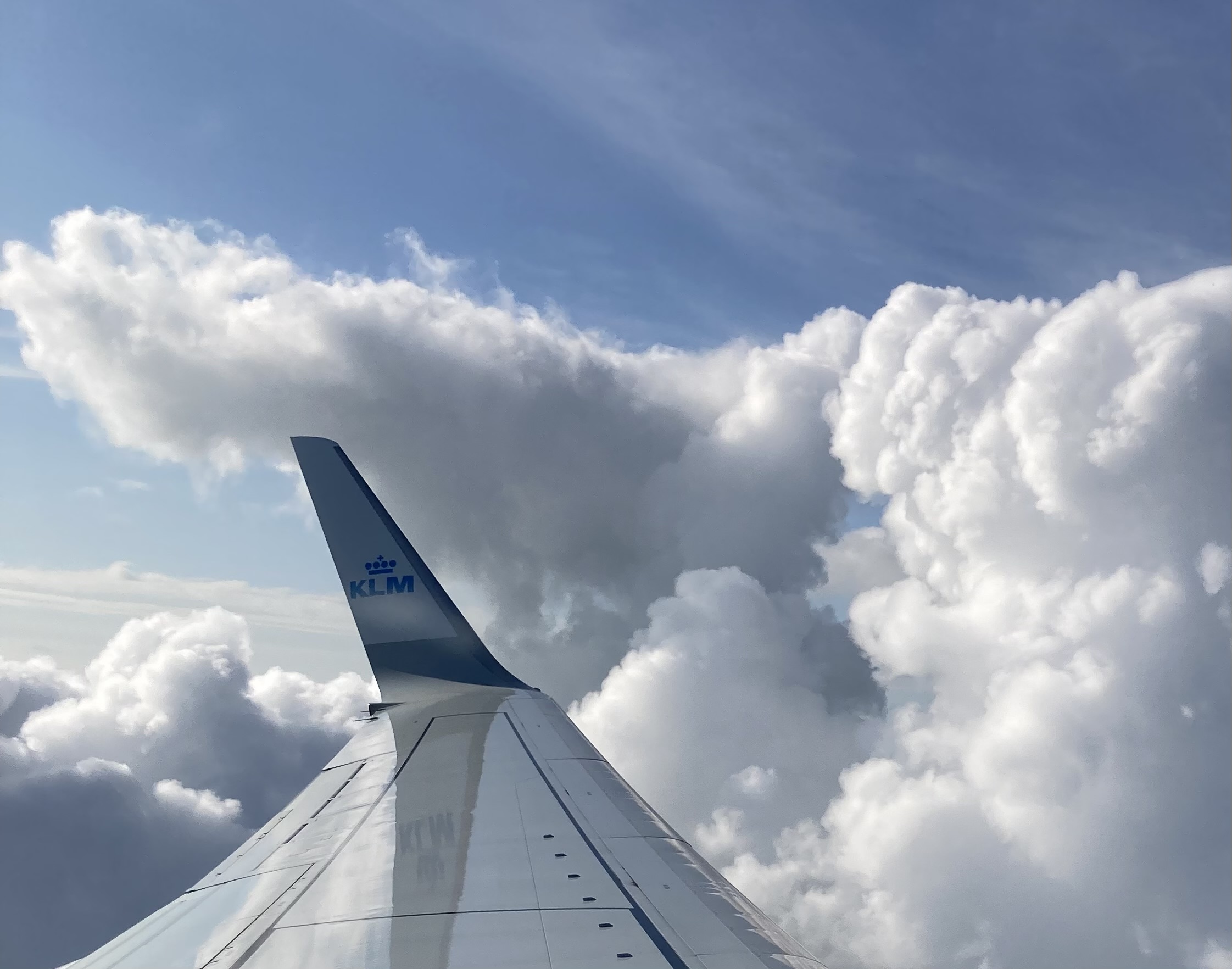 KLM and 20 other airlines commit to stop misleading green claims - DutchNews.nl