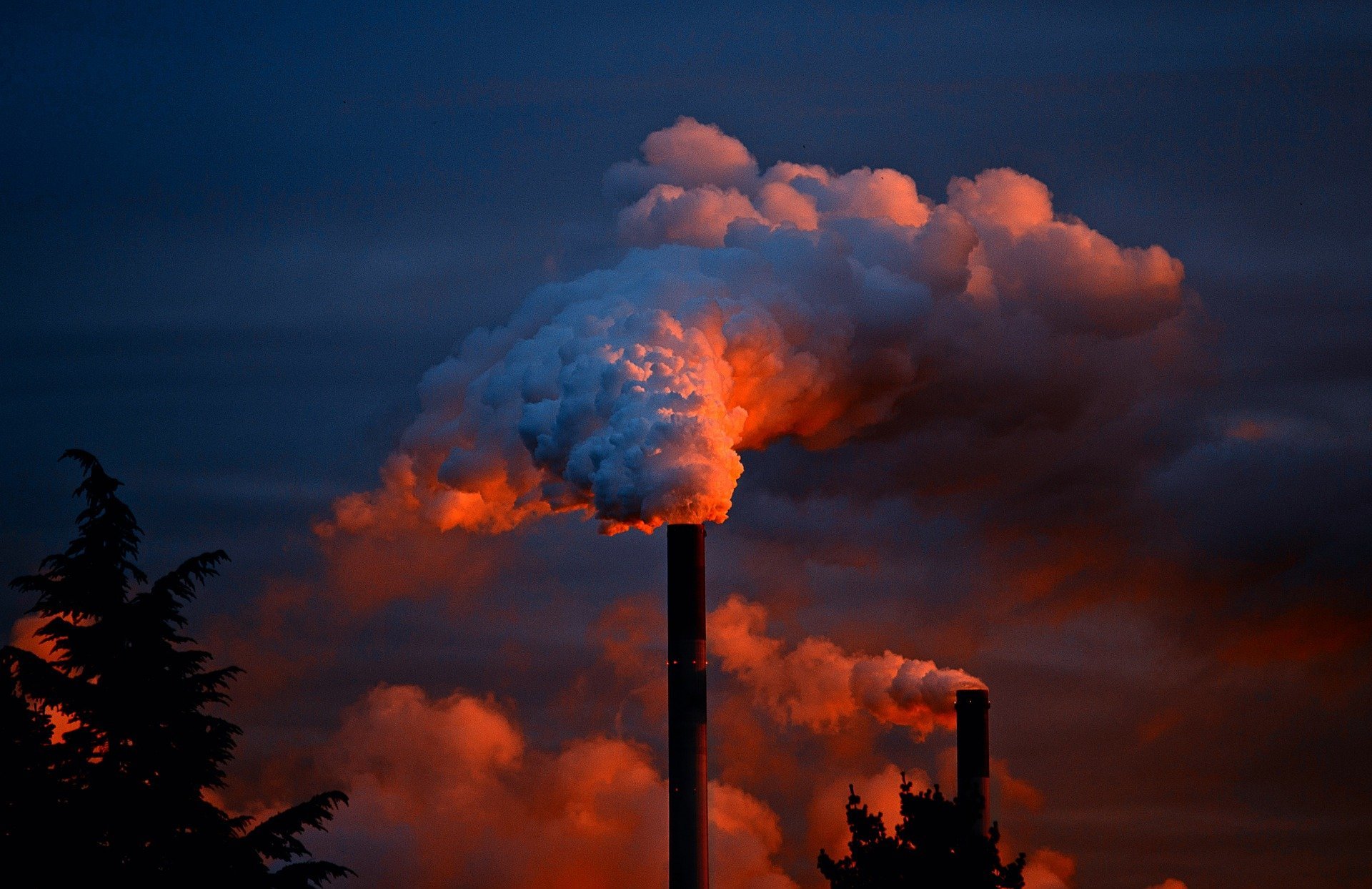 The rise and fall of coal: 2020 transition trends - E3G