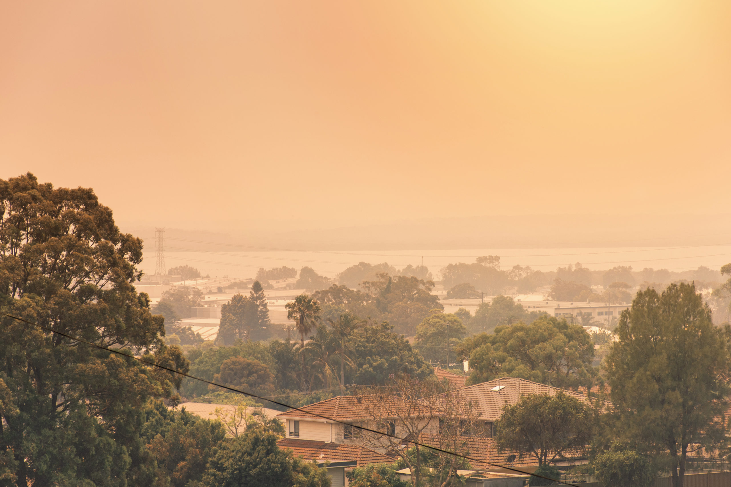First ever NSW plan for climate action released after landmark win by bushfire survivors - Environmental Defenders Office