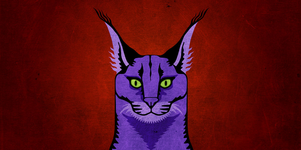 Dark Caracal: You Missed a Spot | Electronic Frontier Foundation