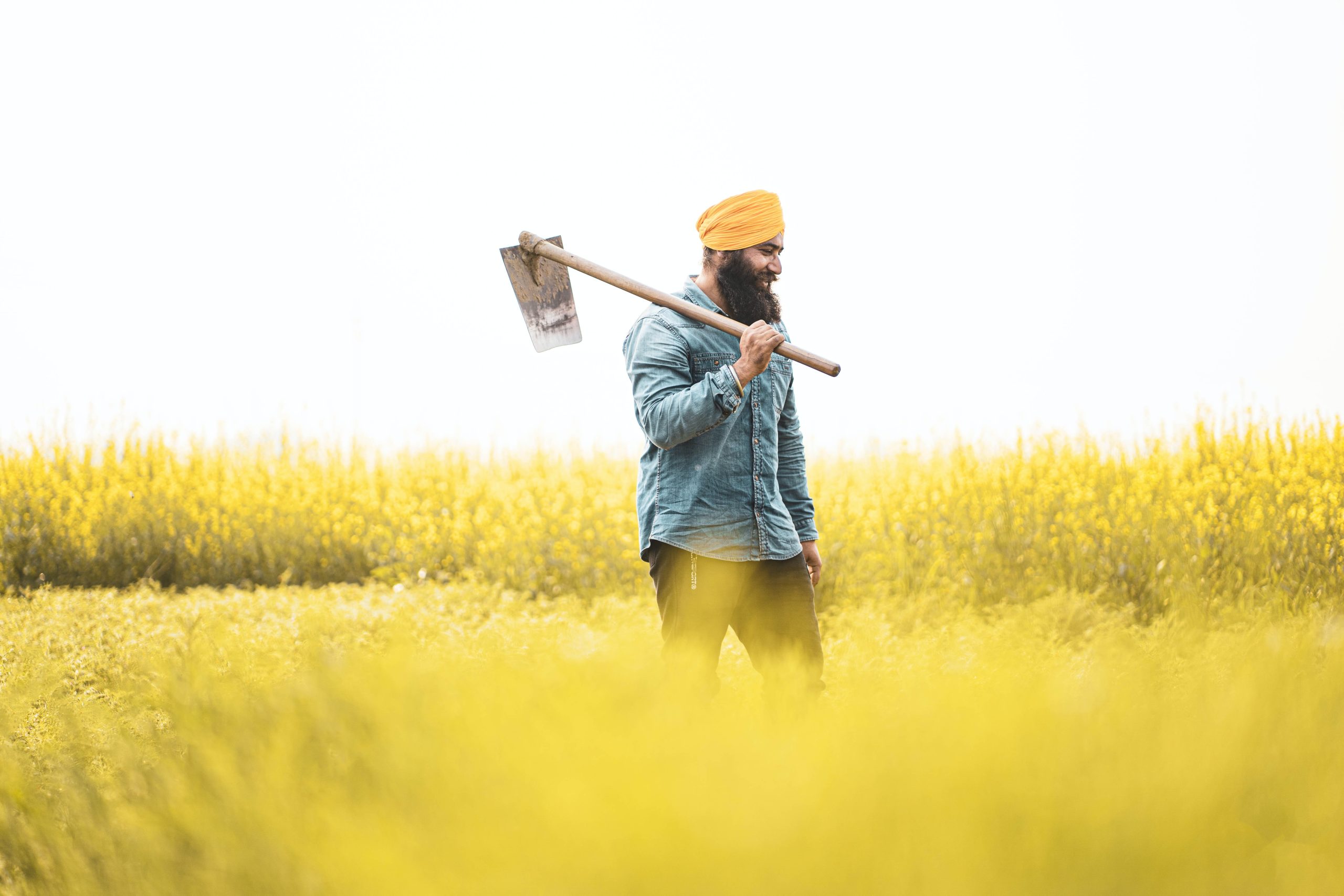 Beyond the Headlines on Panjab: Why Not All Is Lost