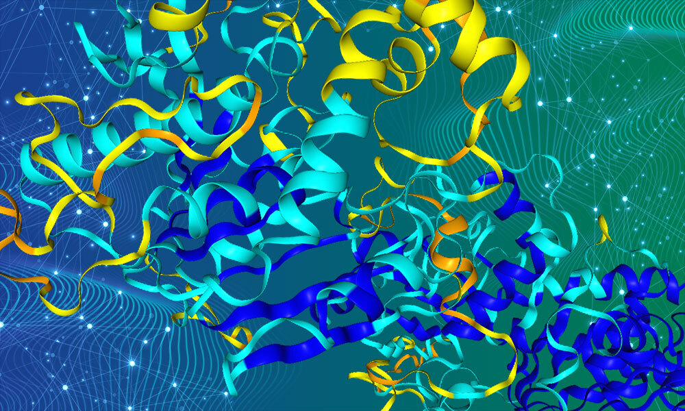 Revealing the secrets of protein evolution using the AlphaFold database | EMBL