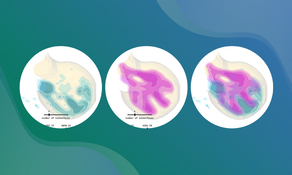 LimbLab: a tool to visualise development in 3D | EMBL