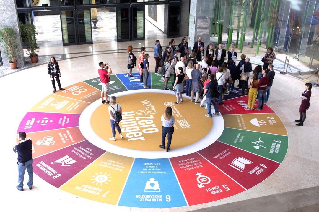 European Sustainability Reporting Standards Show Imbalance in SDG Coverage -