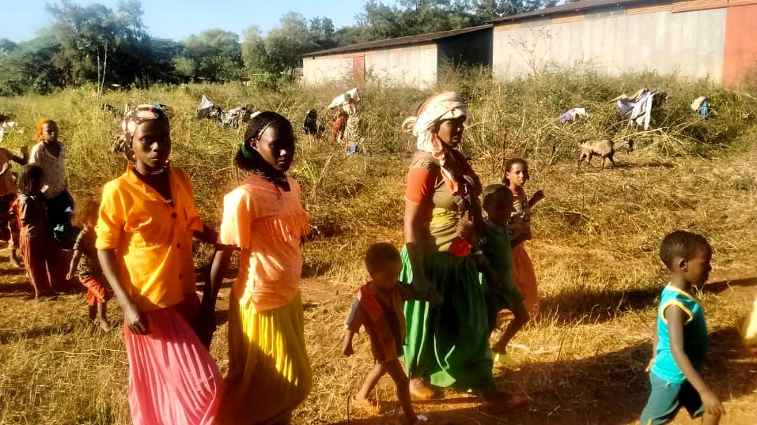Turmoil blocks aid as communal conflict rages in gold-seamed Benishangul-Gumuz - Ethiopia Insight