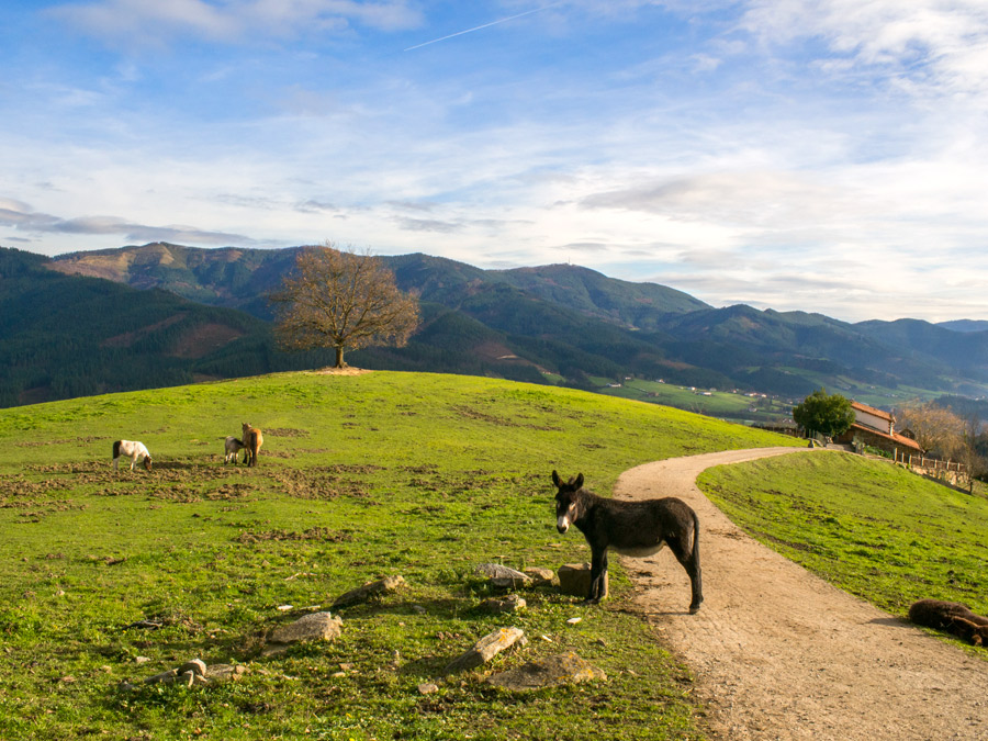 Ongi Etorri to Eusko Guide - Eusko Guide Blog