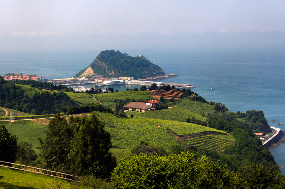 Txakoli – The Unknown Basque White Wine