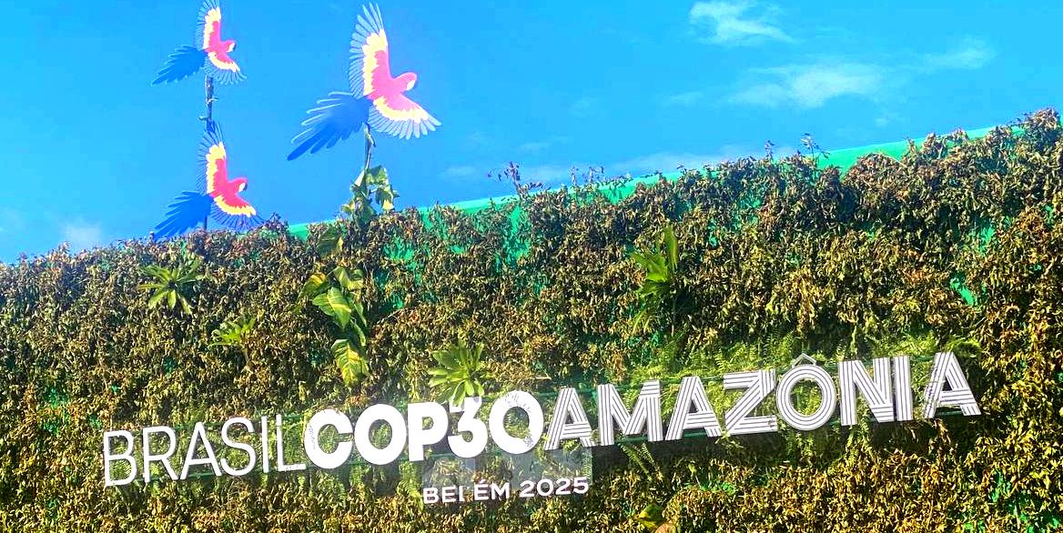 Dispatches From the COP30 Climate Talks in Brazil - EXPOSEDbyCMD