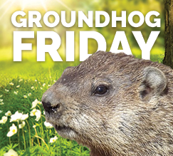 Groundhog Friday - FactCheck.org