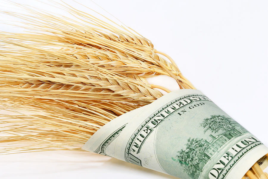 Corporate power and the food we eat – Farm Aid