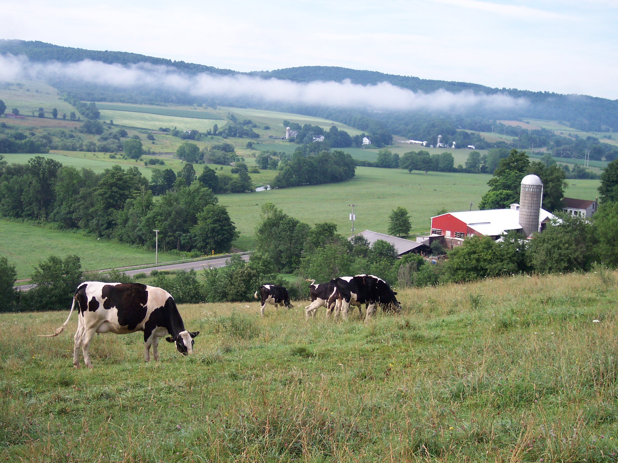 Twin Oaks Dairy – Farm Aid