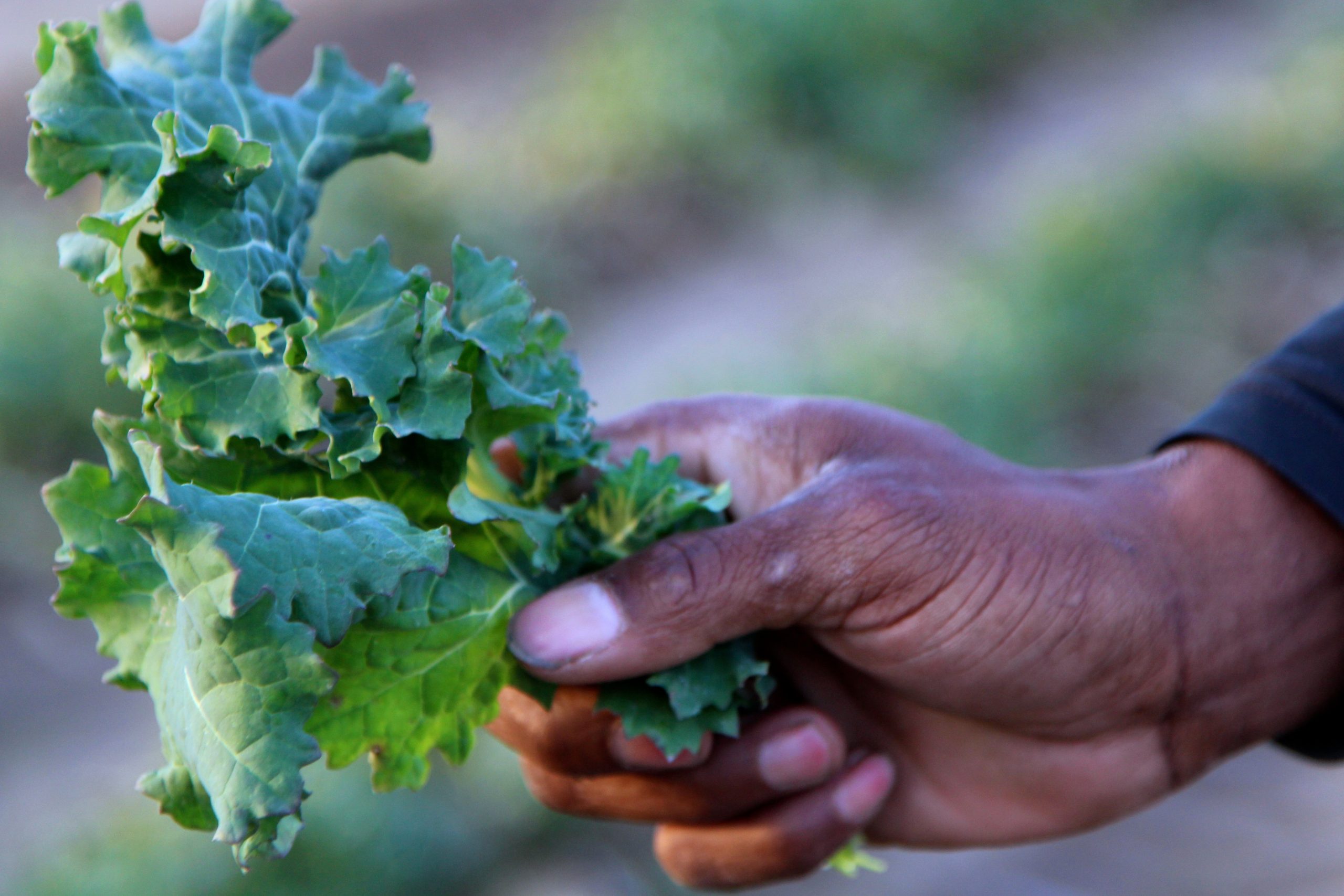 Taking Care of Each Other – Farm Aid