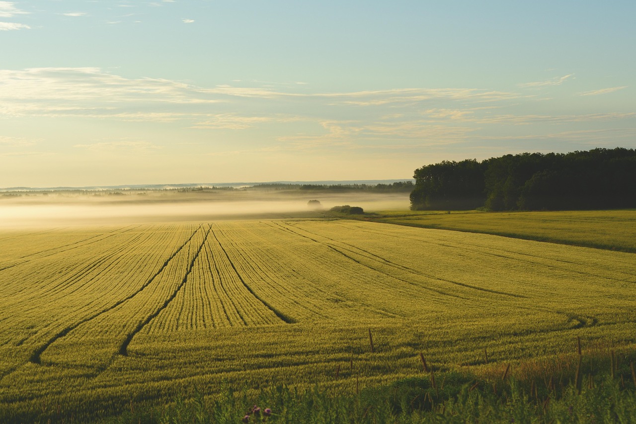Farmers and ranchers are major SNAP beneficiaries, too - Farm and Dairy