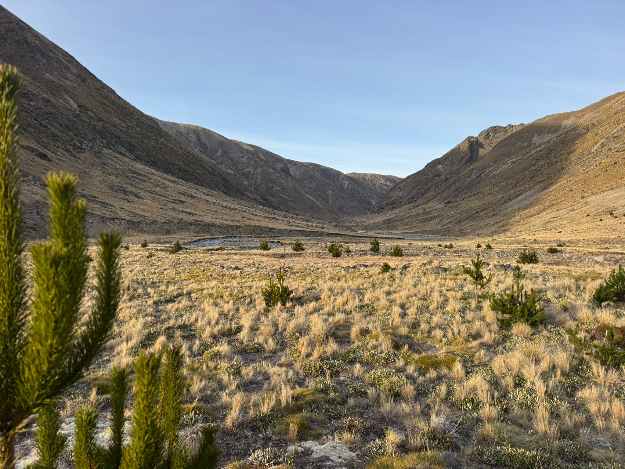 Key allies align on high country grazing solution