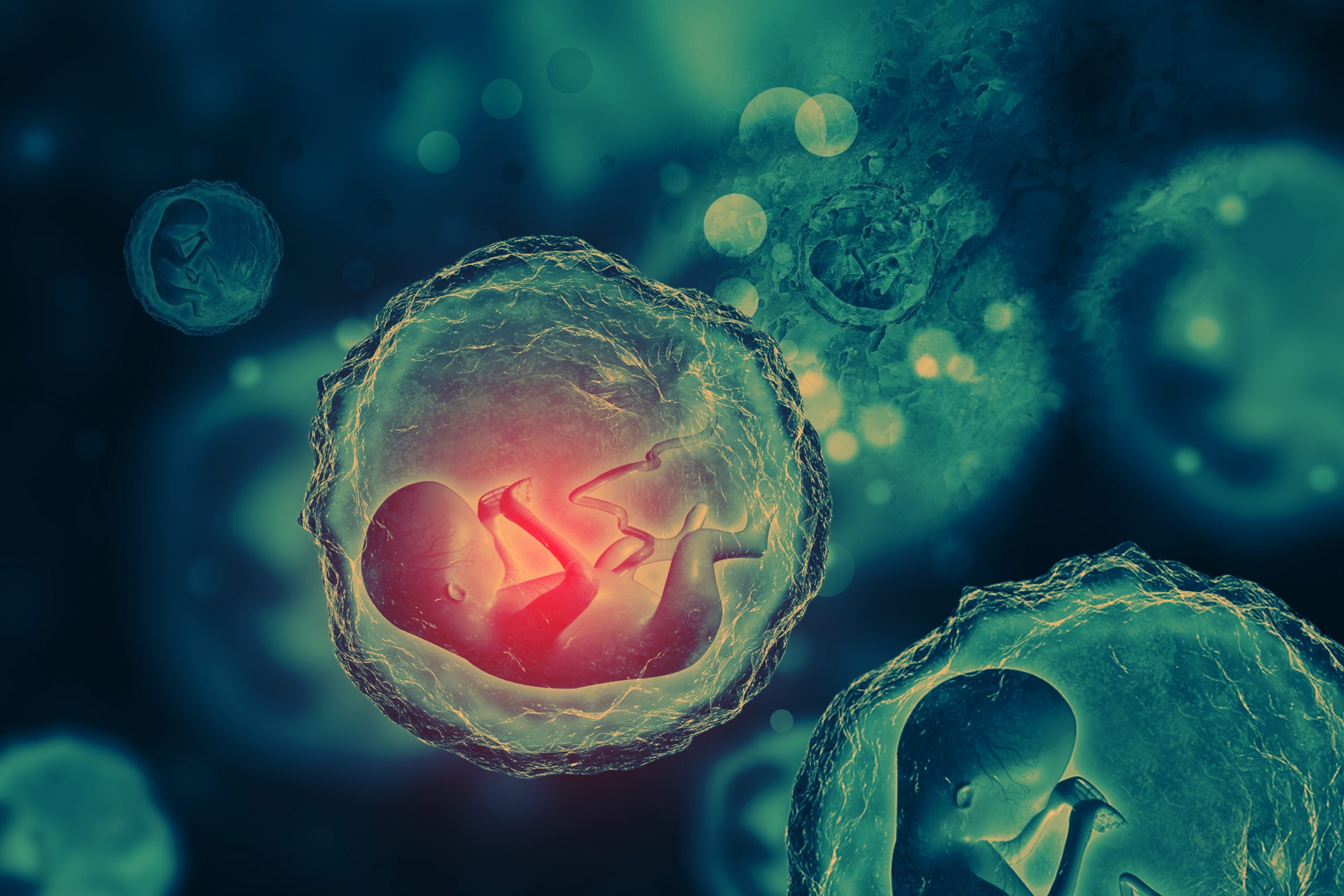Scientists prompt hopes for an artificial womb within generations - FemTech World