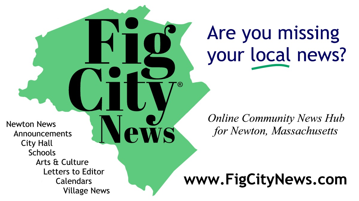 City Council Meetings – Week of 2/8/2026 - Fig City News