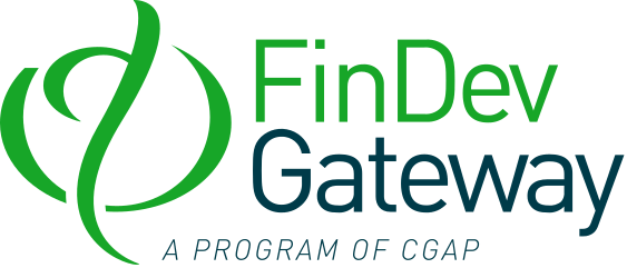 The Role of Microfinance for Income and Consumption Smoothing | Publication | FinDev Gateway