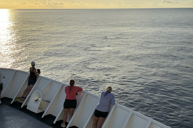 Reflecting on 15 Years of Science Since Deepwater Horizon: Monitoring Recovery | NOAA Fisheries