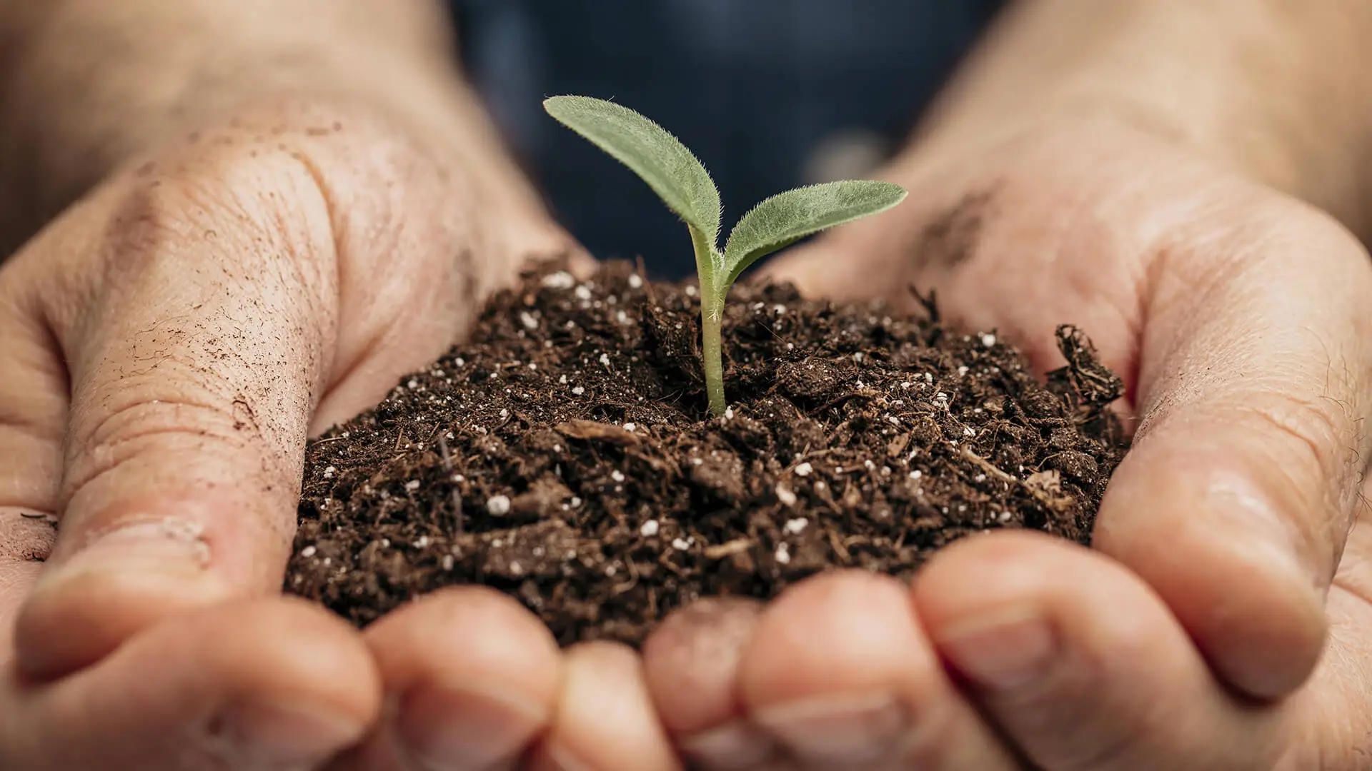 Produzione e commercio vegetali - Consorzio Fitosanitario Provinciale di Parma