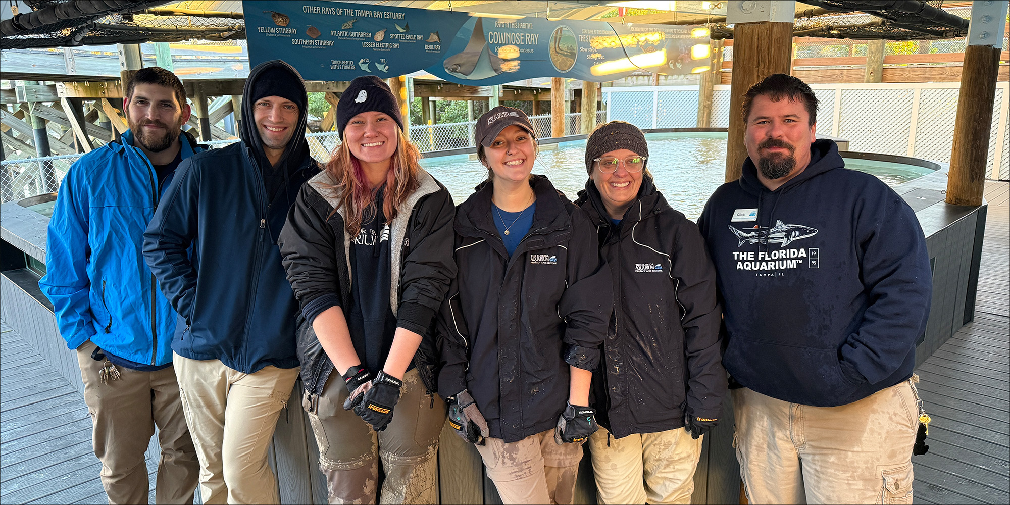 The Florida Aquarium’s Stingrays Return to TECO’s Manatee Viewing Center | The Florida Aquarium