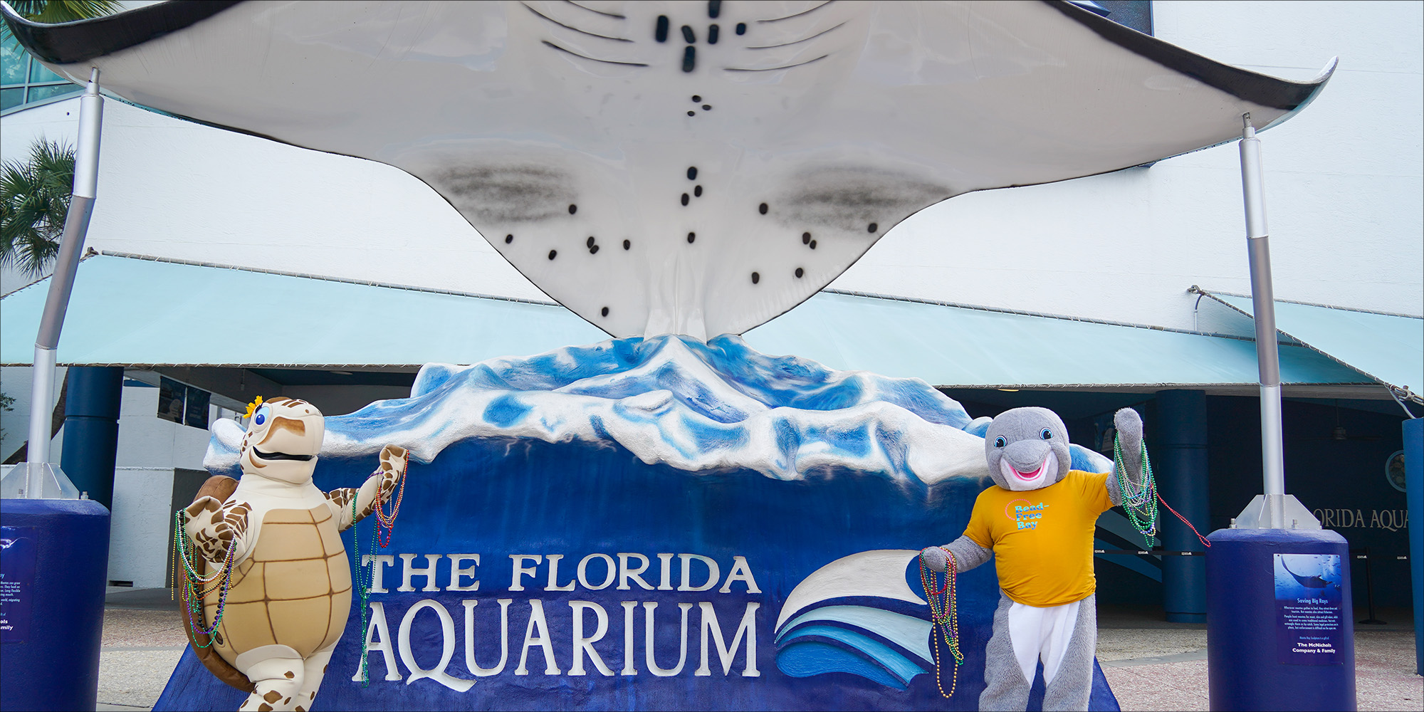 From Parade to Purpose: Recycle Gasparilla Beads at The Florida Aquarium | The Florida Aquarium