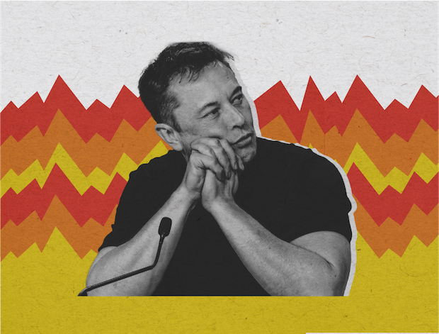 4 Ways You Can Take Action to Stop Musk-Trump Right Now