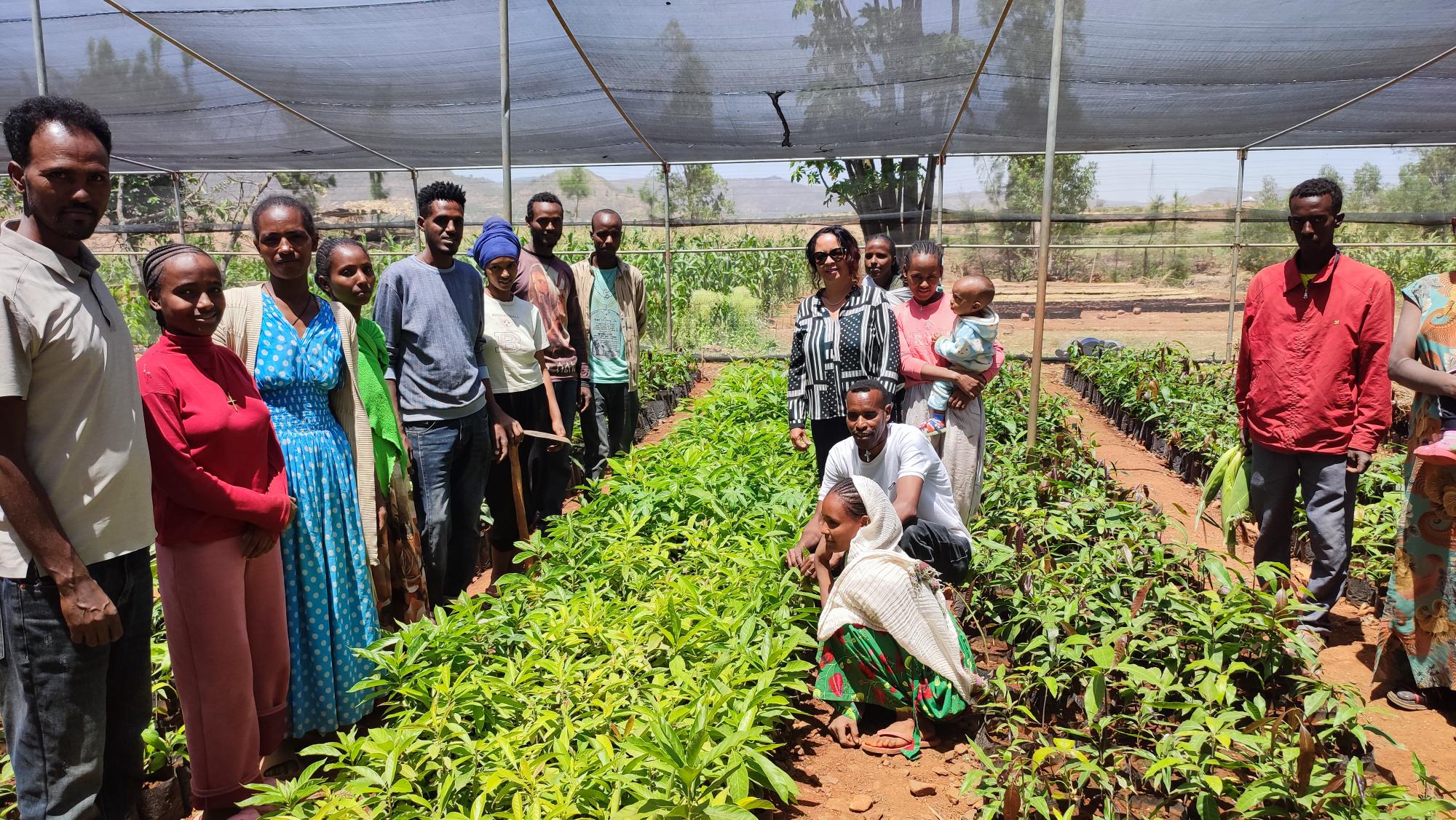 Innovating for resilience: Cultivating climate-ready, multifunctional landscapes through Living Labs - CIFOR-ICRAF Forests News