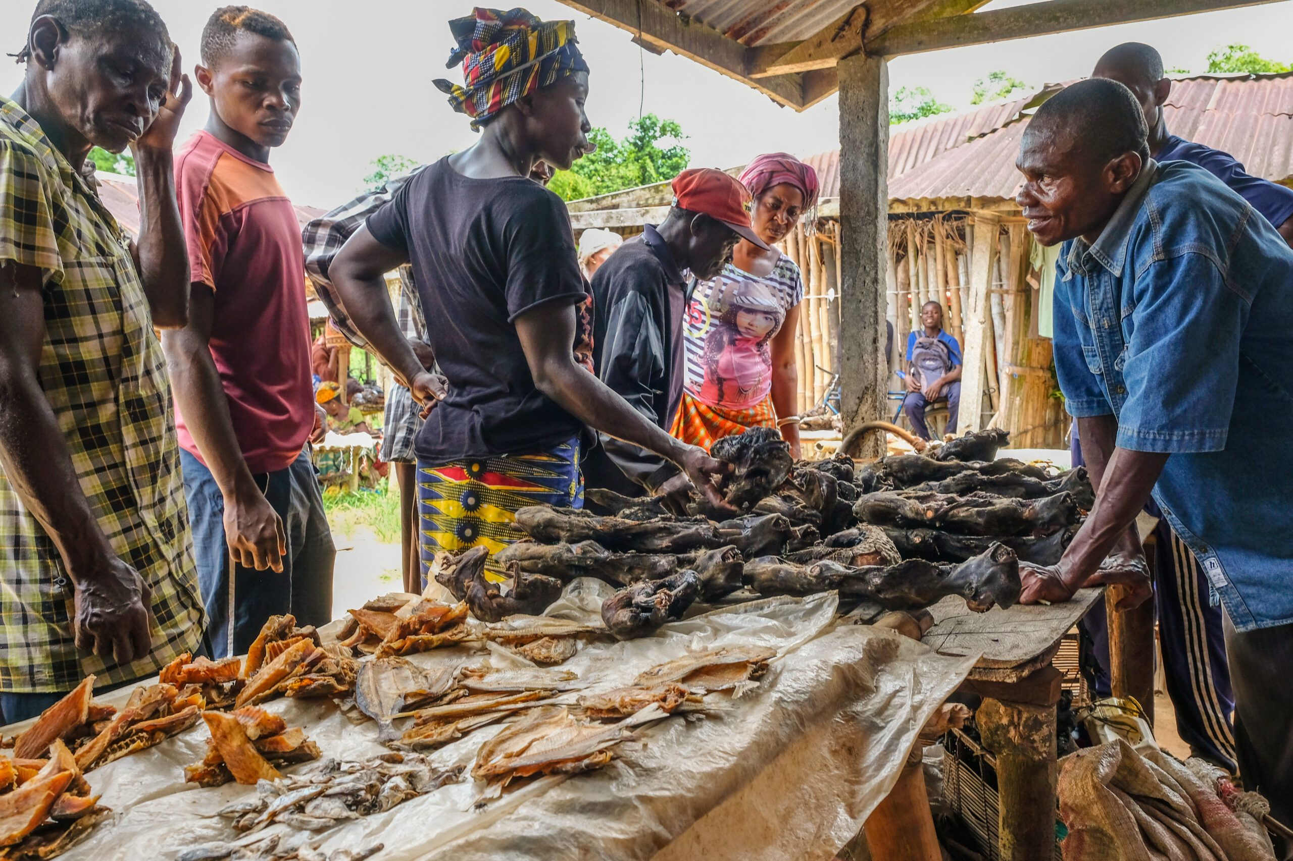 Educate, train, enforce for a sustainable wild meat trade