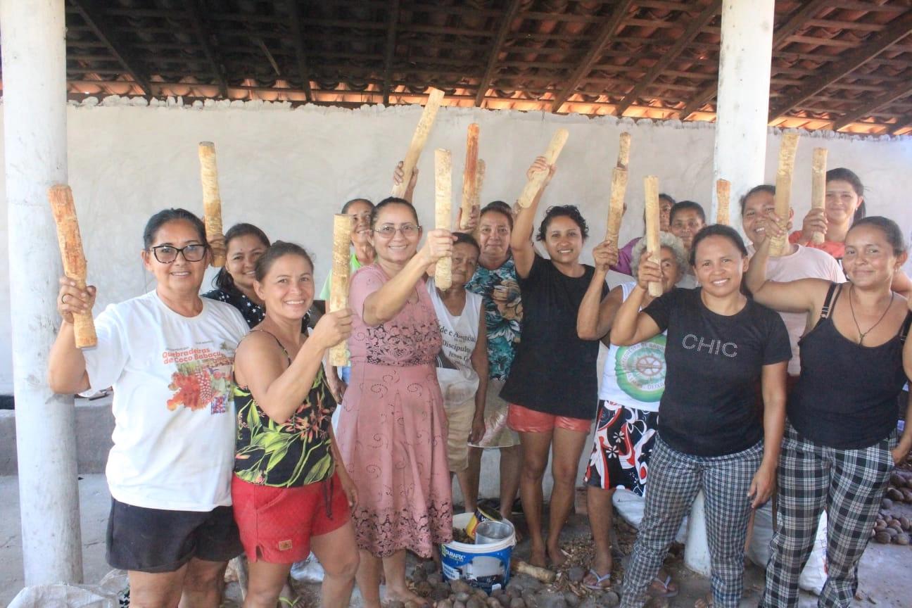 In Piauí, coconut breakers show that defending the babassu is a fight for rights - Fundo Brasil