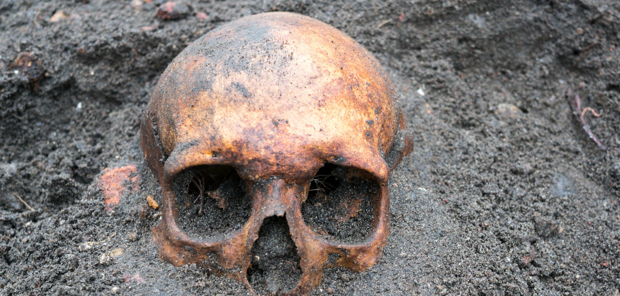 Anthropologie: Homo erectus viel älter als gedacht - Futurezone