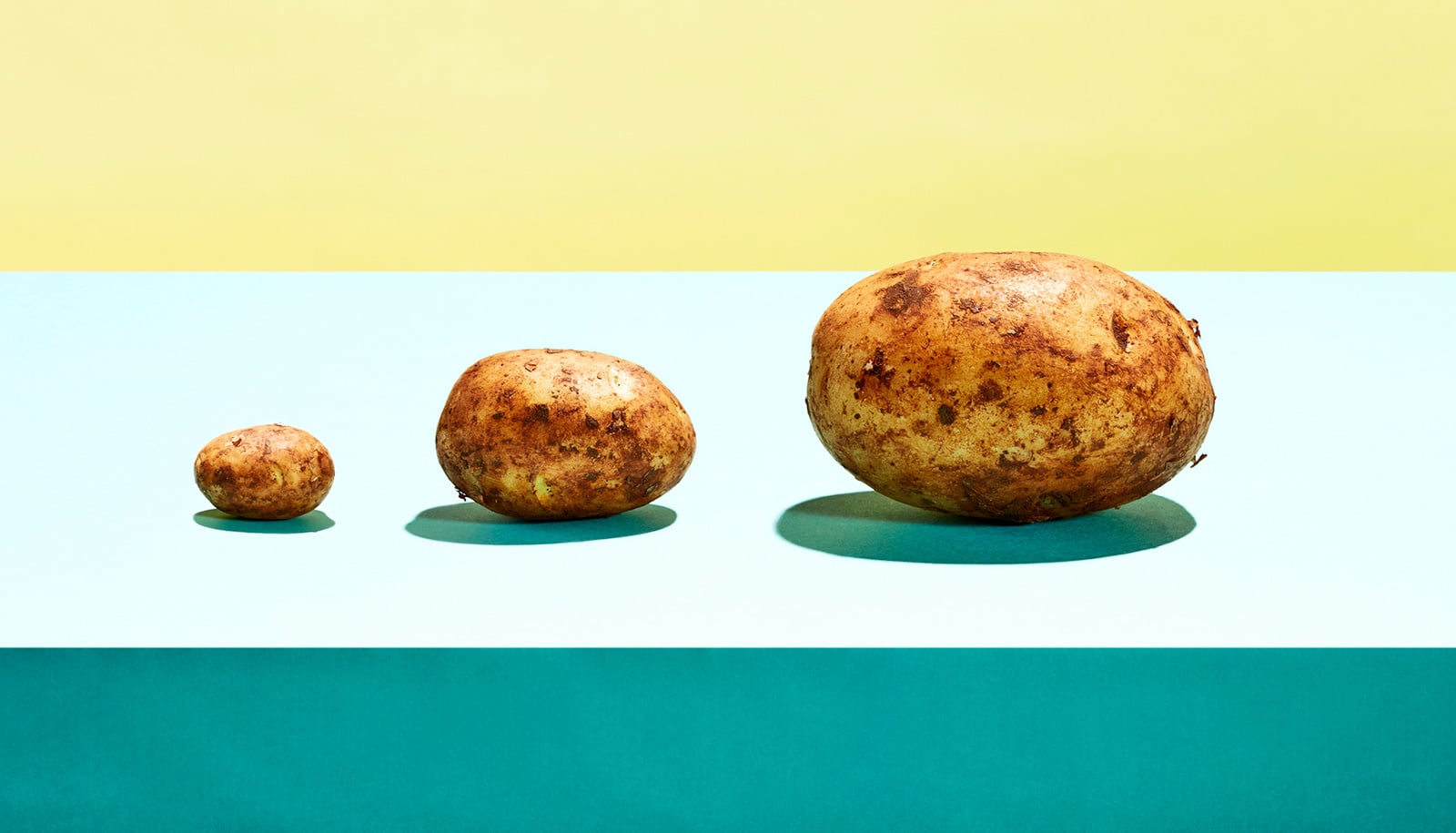 Banana paper guards potato seeds from pest - Futurity