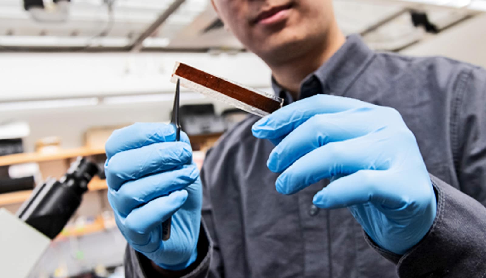 Light-powered pacemaker is thinner than a human hair - Futurity