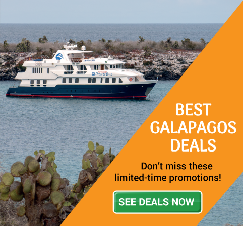 Explore Affordable Galapagos Cruise Options & Stay On Budget