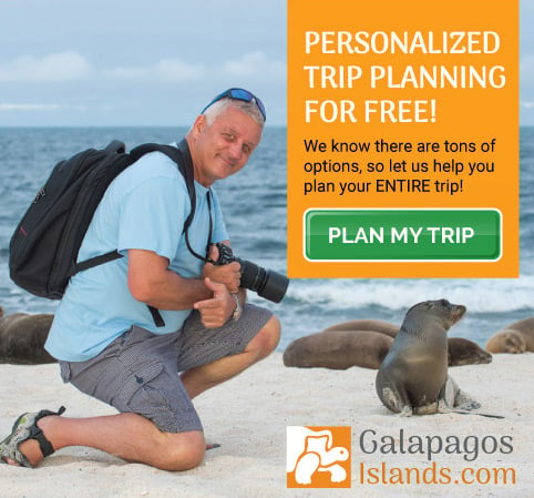 Flights to Galapagos Islands | Galapagos Travel Center
