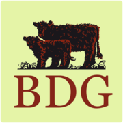 Kategorie: Fellpflege - BDG Onlineshop