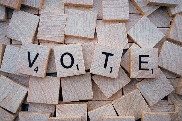 #Gamification: Voting Mechanics - Gamified UK - #Gamification Expert