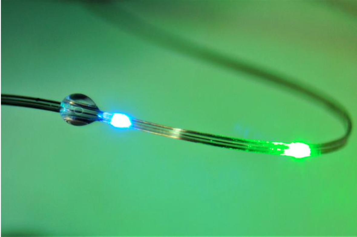 New Technology Probes Neural Connection Between Brain and Gut