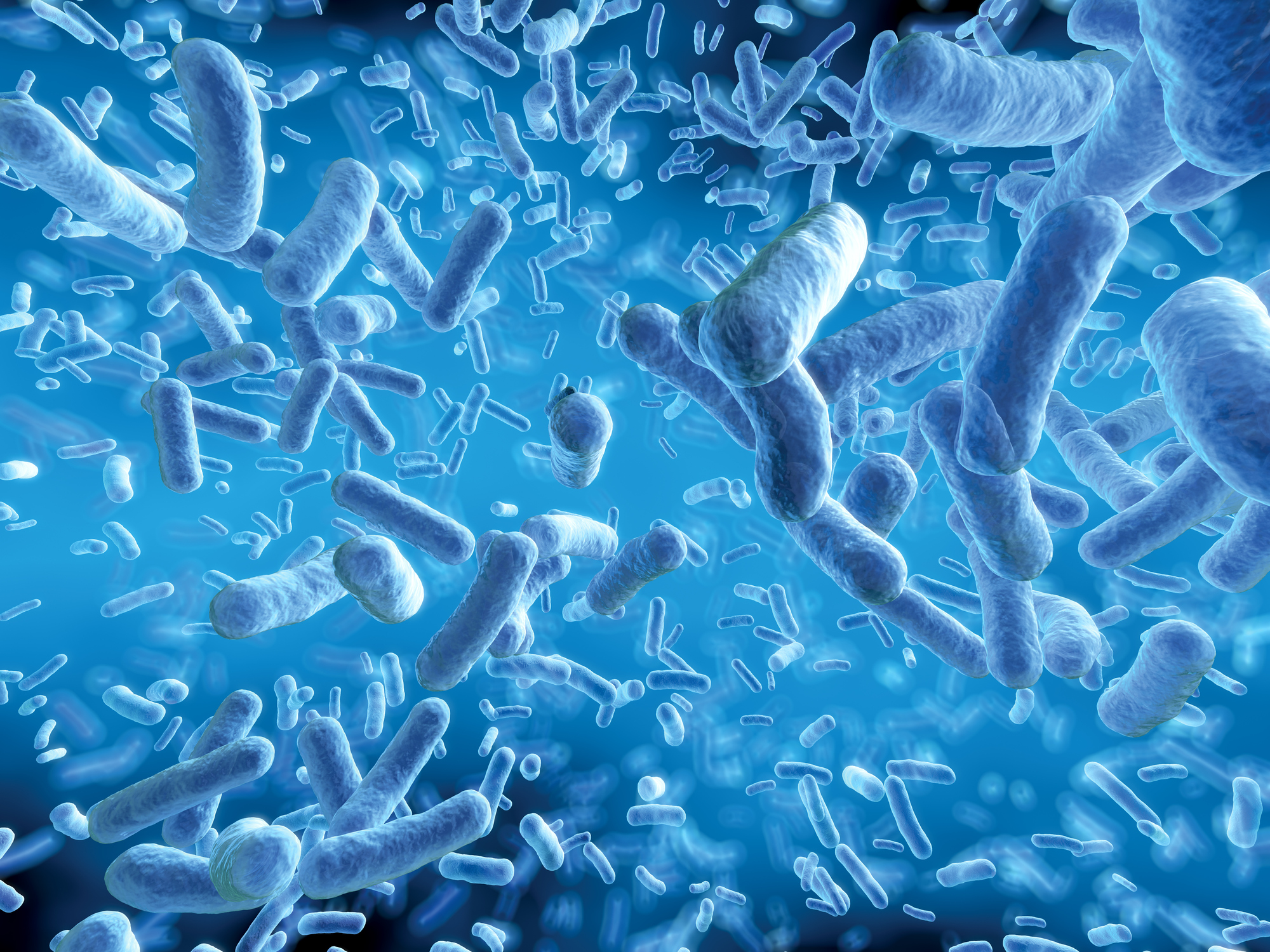 Lessons from the Minimal Cell
