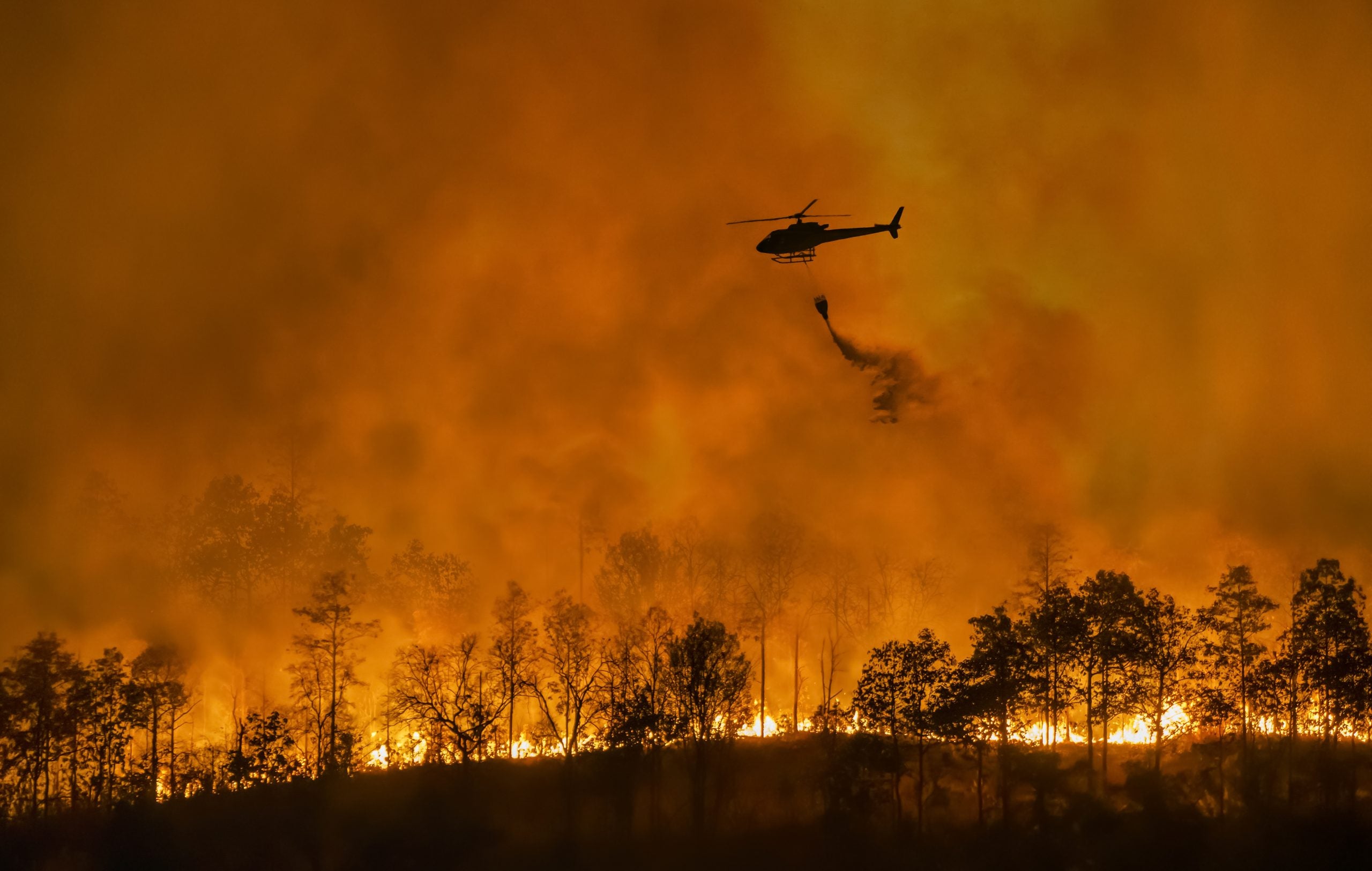 How L.A. Fires Will Fuel Climate Migration - Georgetown University