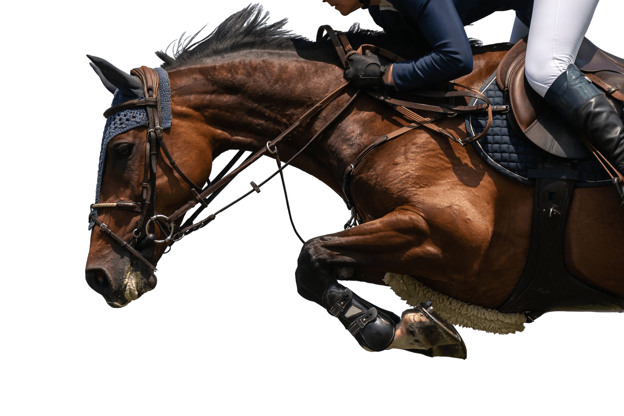 Leading Supplier of Footing for Horse Arenas | GGT Footing