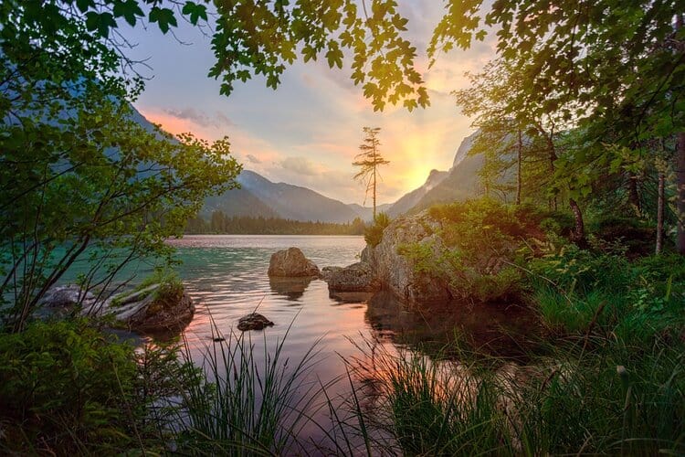 23 Important Symbols of Nature With Meanings - Give Me History