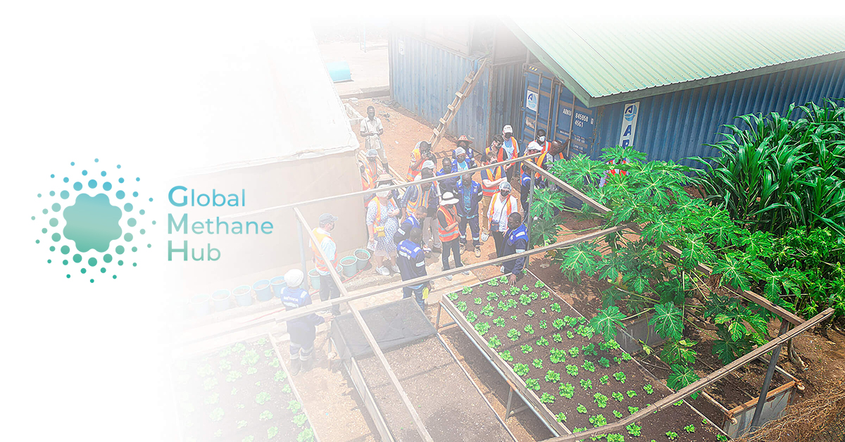 Enteric Fermentation Research & Development Accelerator, a $200M Agricultural Methane Mitigation Funding Initiative - Global Methane Hub