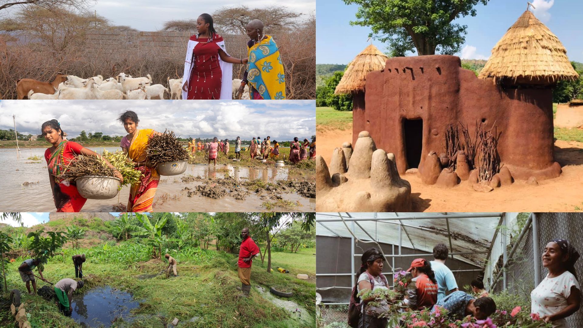 Young climate actors building resilient communities around the world - Global Resilience Partnership